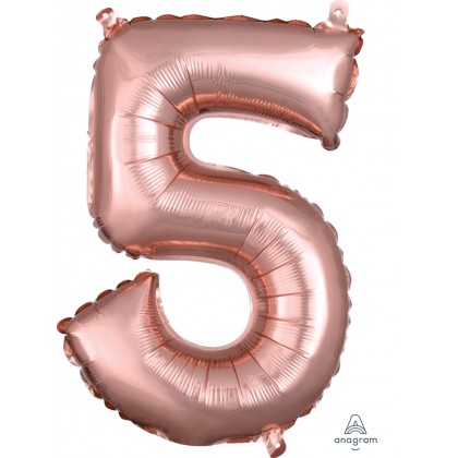 L16 16" (ROSE GOLD) Number 5